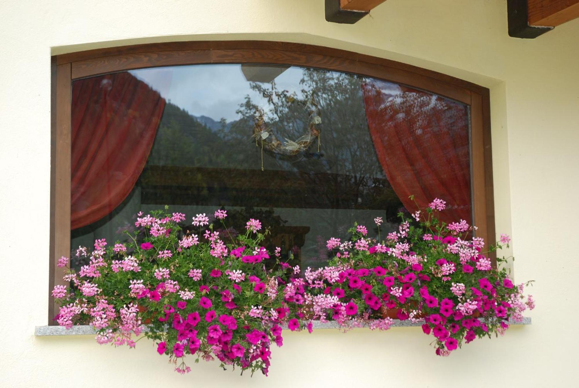 Residence Les Nigritelles Cogne Luaran gambar